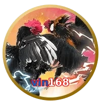 vin168